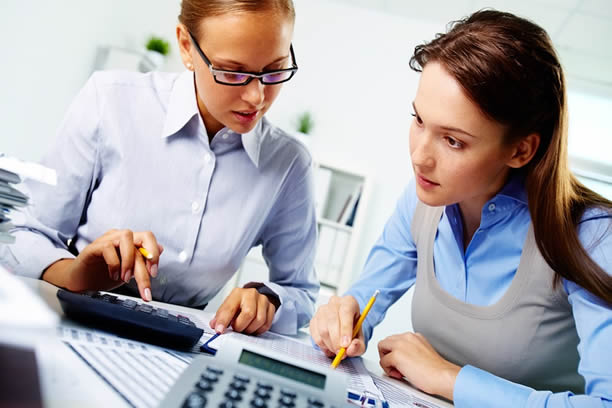 Técnico en Contabilidad
